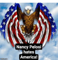 nancy pelosi hates america with a bald eagle in the background