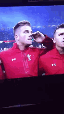 Rugby Wales GIF - Rugby Wales Fan GIFs