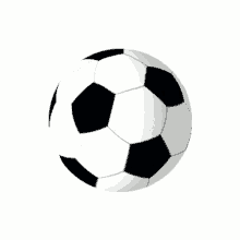 supportyoursport migros