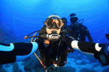 Diving Egypt GIF - Diving In Egypt GIFs