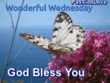 Wonderful Wednesday God Bless You GIF - Wonderful Wednesday God Bless You Butterfly GIFs