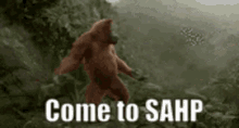 Come To Sahp Monkey GIF - Come To Sahp Monkey Dancing GIFs