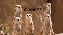 Tom Clancy Ohdannysan GIF - Tom Clancy Ohdannysan GIFs