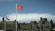 Isle Of Man Manx GIF - Isle Of Man Manx Manx Flag GIFs