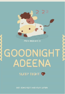 Goodnight Adeena GIF