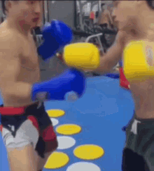 Punching Ppounies GIF - Punching Ppounies Sparring GIFs