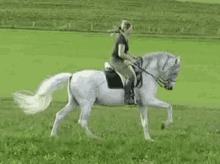 Horse Horseback Riding GIF - Horse Horseback Riding Omw GIFs
