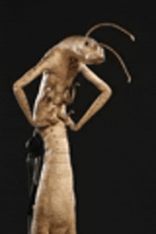 a statue of a bug with long arms and legs is standing with its hands on its hips on a black background .