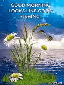 good morning lets go fishing the fishing looks good floral water