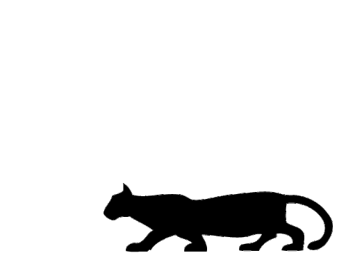 Welcome To Eastvan Eastvan Sticker - Welcome To Eastvan Eastvan Eastvan Gif Stickers