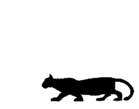Welcome To Eastvan Eastvan Sticker