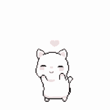 Heart Cat GIF