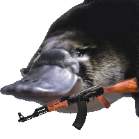 Platypus Platypus Gun Sticker - Platypus Platypus Gun 오리너구리 총 Stickers