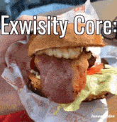 a person is holding a sandwich that says exwosity core on it