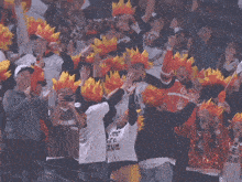 a group of people in a stadium with one wearing a shirt that says pvdd