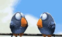 Bird Mocking GIF - Bird Mocking Idiot GIFs