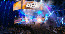 a crowd of people watching a wrestling match with a large aew sign in the background