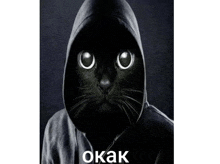 a black cat wearing a black hoodie with the word okak on the bottom right