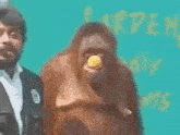 Modricnudes Orangutan Orange GIF - Modricnudes Orangutan Orange Monkey GIFs