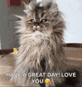 a fluffy cat is sitting on a table with the words `` have a great day ! love you '' written on it .