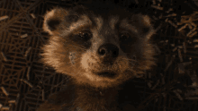Guardians Of The Galaxy Vol3 Volume3 GIF - Guardians Of The Galaxy Vol3 Volume3 Rocket Raccoon GIFs