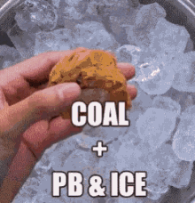 Coal Crystal GIF - Coal Crystal Gullible GIFs