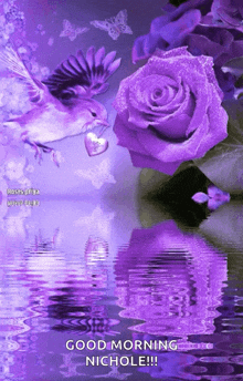 Beautiful Flower GIF - Beautiful Flower Water GIFs