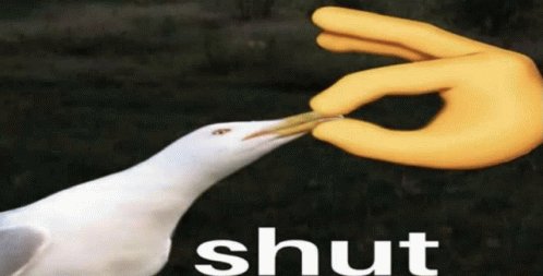 Shut Shut Meme GIF Shut Shut Meme Shut Seagull Discover Share GIFs