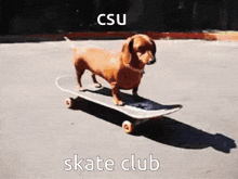 Csu Skate GIF - Csu Skate Club GIFs