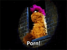 Sesame Street Sex Porn - Porn Nsfw GIFs | Tenor