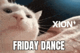 Friday Dance Cat Dance GIF