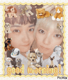 a collage of stuffed animals with the words good morning