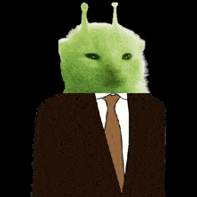 a drawing of a cat with a green face and ears