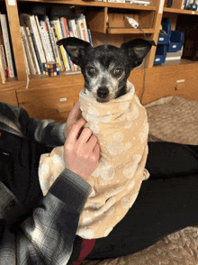 a person is holding a small dog wrapped in a blanket with a rubik 's cube in the background