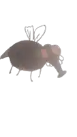 a drawing of a fly with a long nose and red eyes