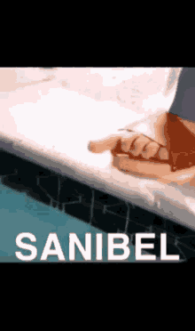 Sanibel Toes GIF