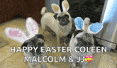 Funny Animals Happy Easter GIF - Funny Animals Happy Easter Easter Pugs GIFs