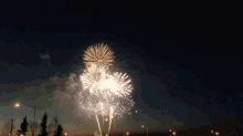 fireworks celebration