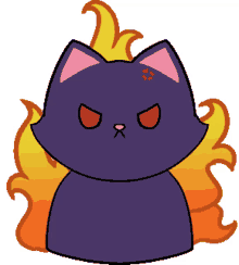 angry angy angry cat fire flame