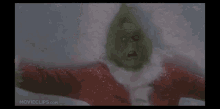 Whats Wrong With Me The Grinch GIF - Whats Wrong With Me The Grinch Nervous GIFs