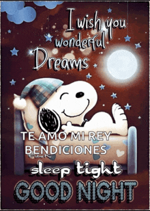 a snoopy poster that says i wish you wonderful dreams and sleep tight