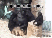 Gm Epics Gmepic GIF - Gm Epics Gmepic Good Morning Epics GIFs