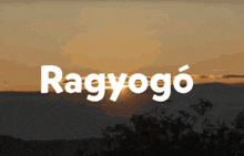 Ragyogo Sunn GIF - Ragyogo Sunn GIFs