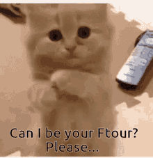 Crush Can I Be Your Ftour GIF - Crush Can I Be Your Ftour Cute GIFs