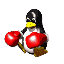 Boxing Penguin GIF - Boxing Penguin GIFs
