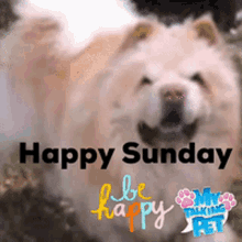 Happy Sunday Love GIF - Happy Sunday Love Fun GIFs
