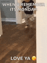 a baby is walking on a wooden floor with a caption that says when u remember it 's monday love ya
