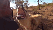Hyena Yawn GIF - Hyena Yawn Yoinky GIFs