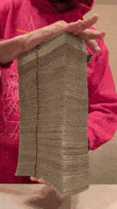 a person in a pink sweatshirt holds a stack of money