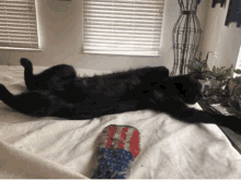 blackcat lounging lazycat magic hotkitty